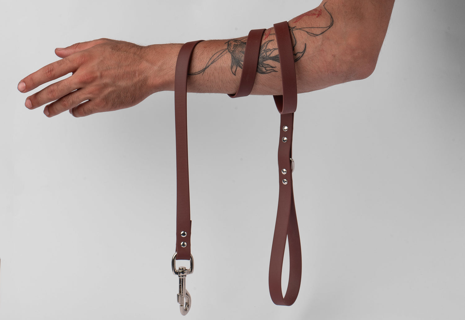 Dog's Leash