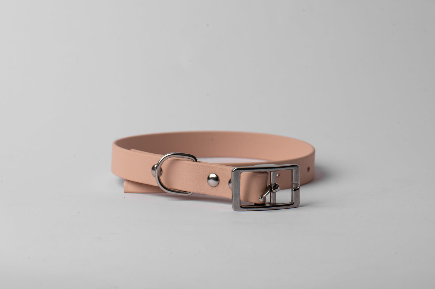 Dog's Collar