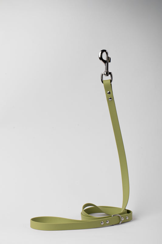 Holy Guacamole Dog Leash