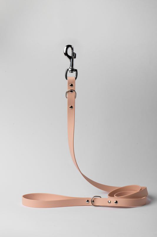 Powder Tan Dog Leash